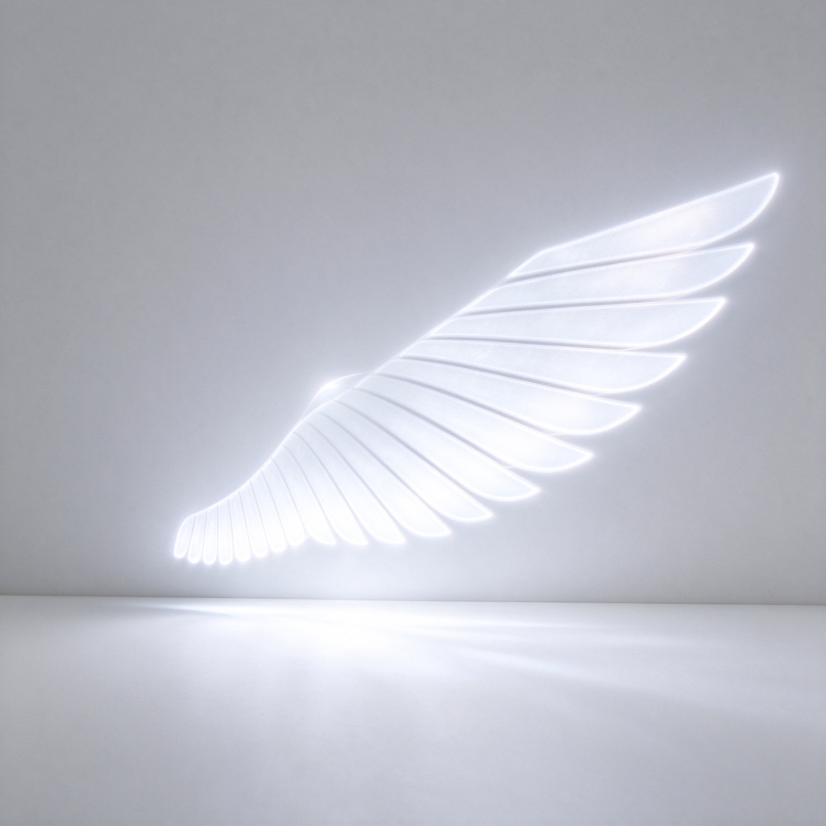 Christmas Angel Wing Car Door Projector Lights