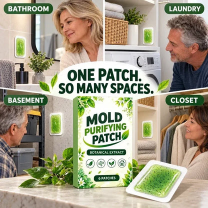 🔥Buy 1 Get 1 Free and 50%OFF!!6Pcs Mold Purifying Patches – Botanical Mildew Removal Pads